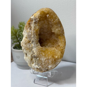 Natural Golden Agate Quartz Geode/Cluster Egg